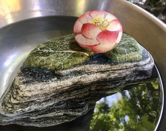 Gratitude lotus on the water rocks.