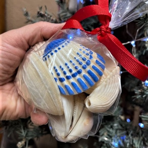 Gift Craft Set of 10 Seashells for Painting With One Painted Seashell. From The Sea of Cortez with Love.