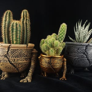 May include: Three potted plants in decorative containers with textured, cracked surfaces and clawed feet. The left pot is beige, the center is gold, and the right is dark gray. Each features intricate swirling patterns and a single extended arm-like limb.