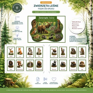 May include: Educational printable flashcards featuring forest animals, including a bear, fox, and deer. The cards are designed for children's learning and include the text "Forest Animals" and "Printable Flashcards". The cards measure 3.7 inches in height and 2.5 inches in width.