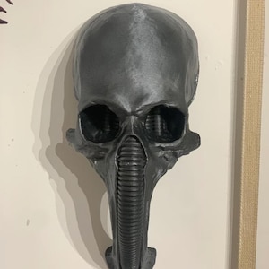 Può includere: Una scultura a forma di teschio grigio scuro e stilizzato con grandi orbite e una lunga struttura tubolare a coste che si estende dalla parte inferiore del viso. La scultura è montata su una parete di colore chiaro.