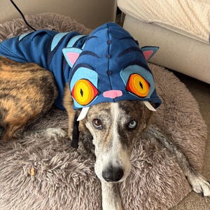 May include: A blue hooded pet garment featuring a creature design with large yellow and orange eyes, pink ears, and white fangs. The hood is attached to a blue body piece with darker blue stripes, designed to fit over the back of a brindle-coated dog.