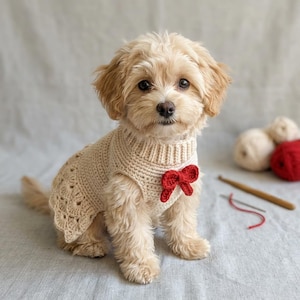 May include: A light beige crochet dog sweater featuring a ribbed collar and a decorative red crocheted bow on the chest. The garment has a textured, scalloped hemline along the back, providing a fitted look for a small, light-colored puppy.