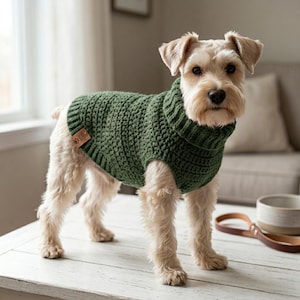 May include: A small dog with light-colored fur wearing a dark green, chunky knit sweater with a ribbed turtleneck collar. A small, square, tan-colored leather-like tag with a paw print icon is attached to the side of the sweater.