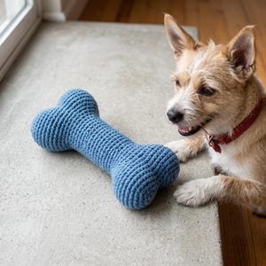 Peut inclure: Un jouet pour chien en crochet bleu en forme d'os. Le jouet présente une surface texturée en fil et une silhouette d'os classique avec des extrémités arrondies. Il est placé à côté d'un petit chien beige et blanc avec un collier rouge.
