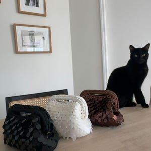 May include: Three decorative handbags in black, white, and brown, each with a unique sequin or petal design. The bags are displayed on a wooden surface. A black cat sits in the background.