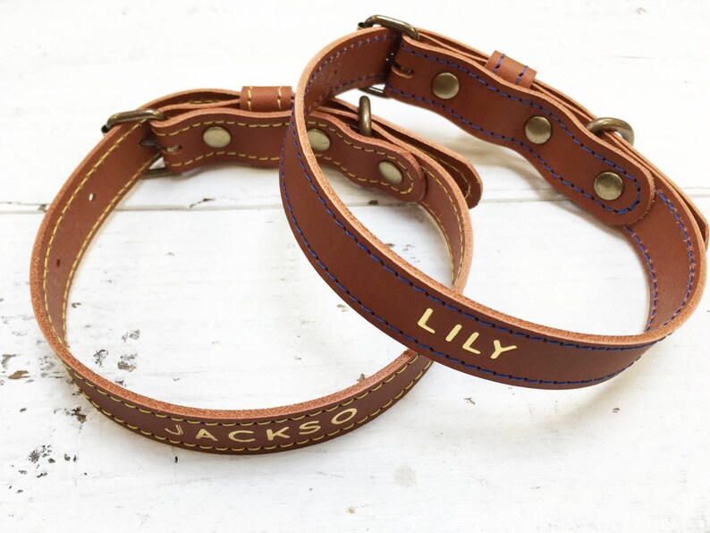 Leather Dog Collar, veg tan leather dog collar, brass hardware, with name in gold or silver foil, perfect gift for your pooch image 5