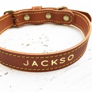 Leather Dog Collar, veg tan leather dog collar, brass hardware, with name in gold or silver foil, perfect gift for your pooch image 4