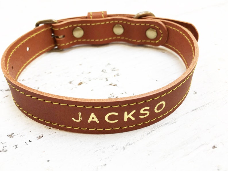 Leather Dog Collar, veg tan leather dog collar, brass hardware, with name in gold or silver foil, perfect gift for your pooch image 4