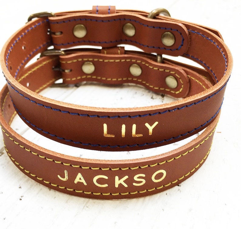 Leather Dog Collar, Veg Tan Leather Dog Collar, Brass Hardware, With