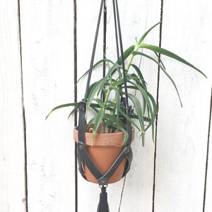 Vegetable tanned leather plant hanger with rivet fastenings and tassel feature