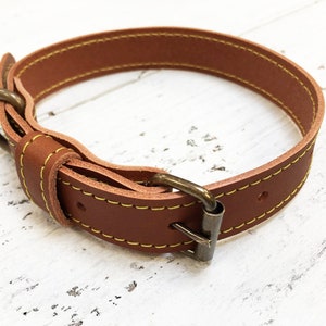 Leather Dog Collar, veg tan leather dog collar, brass hardware, with name in gold or silver foil, perfect gift for your pooch image 2