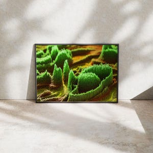 Poster | Fragmented Landscapes | Verdant Flow