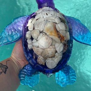 May include: A sea turtle figurine crafted from translucent purple and blue resin. The shell is filled with a collection of various white and tan seashells, visible through the clear center portion of the turtle's back and head structure.