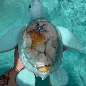 May include: A light blue sea turtle figurine crafted from resin, featuring a translucent shell filled with various white and tan seashells. A small, dark blue, jeweled starfish ornament is embedded on the top of the shell, and the turtle has blue eyes.
