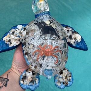May include: A clear resin sea turtle figurine featuring a blue painted head and flippers. The shell is filled with white coral-like structures, small natural seashells, and a prominent orange crab figure embedded within the transparent material.