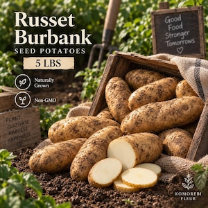 May include: Russet Burbank seed potatoes in a wooden crate with burlap. Text reads: Russet Burbank Seed Potatoes 5 LBS, Naturally Grown, Non-GMO, Plant Cultivate Harvest Happiness, Good Food Stronger Tomorrows. Includes whole and sliced potatoes.