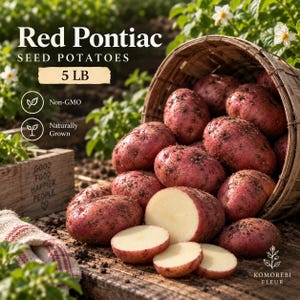 May include: Red Pontiac seed potatoes in a woven basket, with a 5 lb label, non-GMO and naturally grown text, and a wooden crate marked Good Food Happier People. Several potatoes are whole with red skin, and some are sliced to show white flesh.