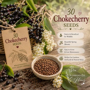May include: A packet of 30 chokecherry seeds with a brown paper tag featuring a botanical illustration of berries and leaves. The tag text reads 30 Chokecherry Seeds, Wild & Beautiful, Native, Resilient, Beneficial. A small ceramic bowl holds seeds.