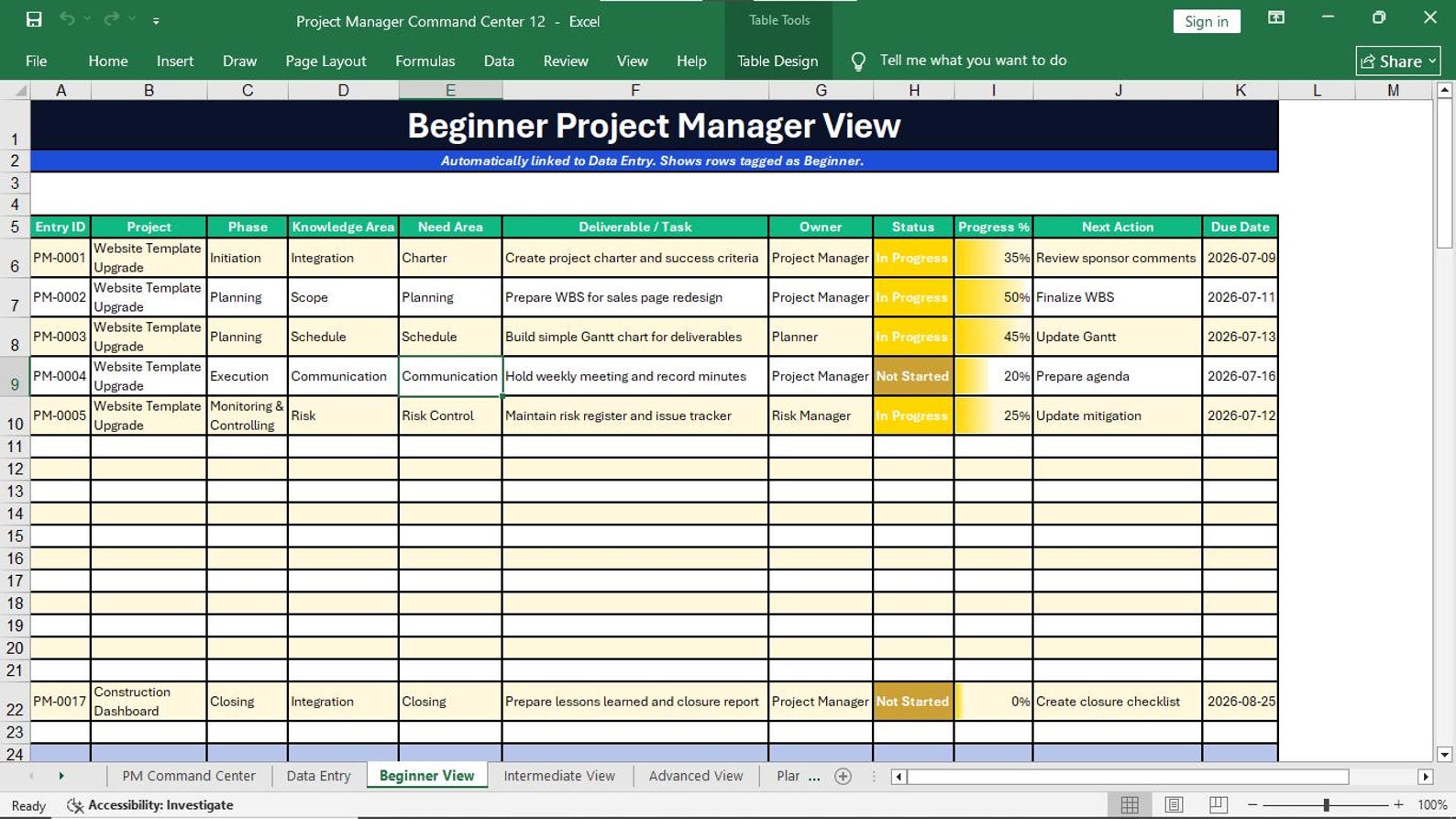 Beginner Project Manager View