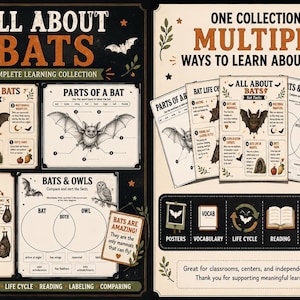 Może przedstawiać: Edukacyjna kolekcja do nauki zatytułowana All About Bats, zawierająca plakaty, słownictwo, cykle życia, czytanki, etykiety i ćwiczenia porównawcze. Czarno-kremowe strony zawierają ilustracje nietoperzy, sów oraz diagramy z tekstem wyjaśniającym fakty, anatomię i cykle życia nietoperzy do użytku w klasie.