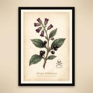 Deadly Nightshade Digital Print, Dark Cottagecore Botanical Art, Printable 8x10 11x14 16x20 A2, Instant Download image 1