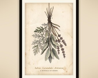 Dried Herb Bundle Digital Print, Dark Cottagecore Botanical Art, Printable 8x10 11x14 16x20 A2, Instant Download