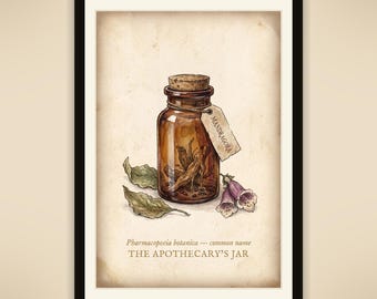 May include: A framed print featuring an amber glass apothecary jar with a cork stopper, containing a mandrake root. A tag labeled MANDRAGORA hangs from the neck. Two green leaves and two purple flowers sit nearby. Text reads Pharmacopoeia botanica and THE APOTHECARY'S JAR.