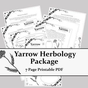 May include: A seven-page printable PDF herbology package about Yarrow, featuring black and white informational sheets with botanical illustrations, decorative borders, and text detailing plant preparations, tea infusions, and oil infusion methods.