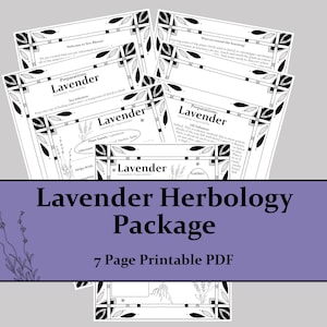 May include: A seven-page printable PDF titled Lavender Herbology Package featuring black and white informational sheets with botanical illustrations, decorative leaf borders, and text detailing lavender preparations, plant family, and gathering methods.
