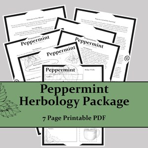 Peppermint Herbology Lesson Package Digital Download PDF