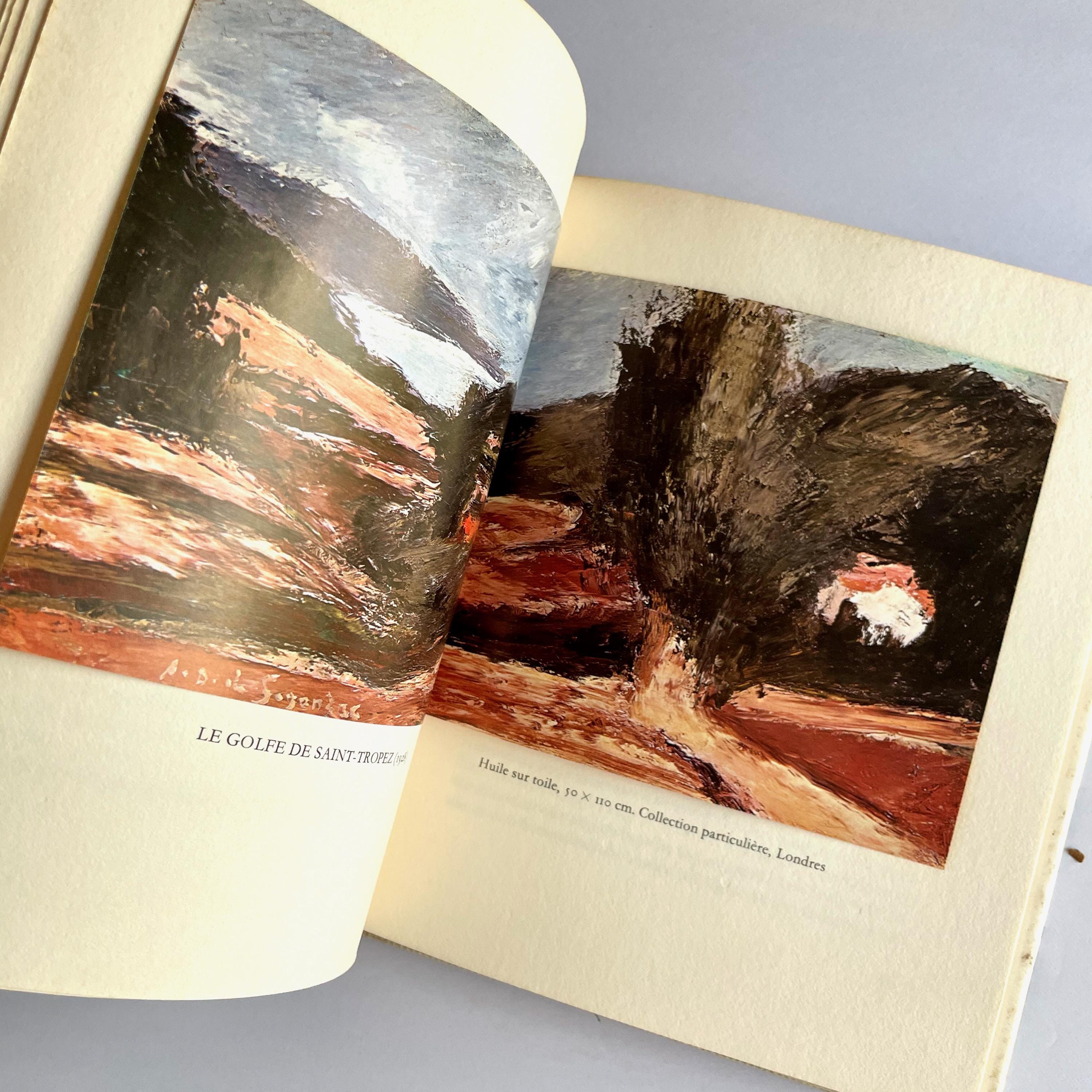 André Dunoyer De Segonzac - Et La Provence - by Francois Fosca