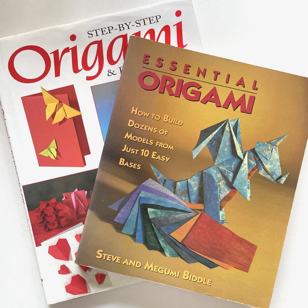 2 Books on Origami Step by Step Guide How to