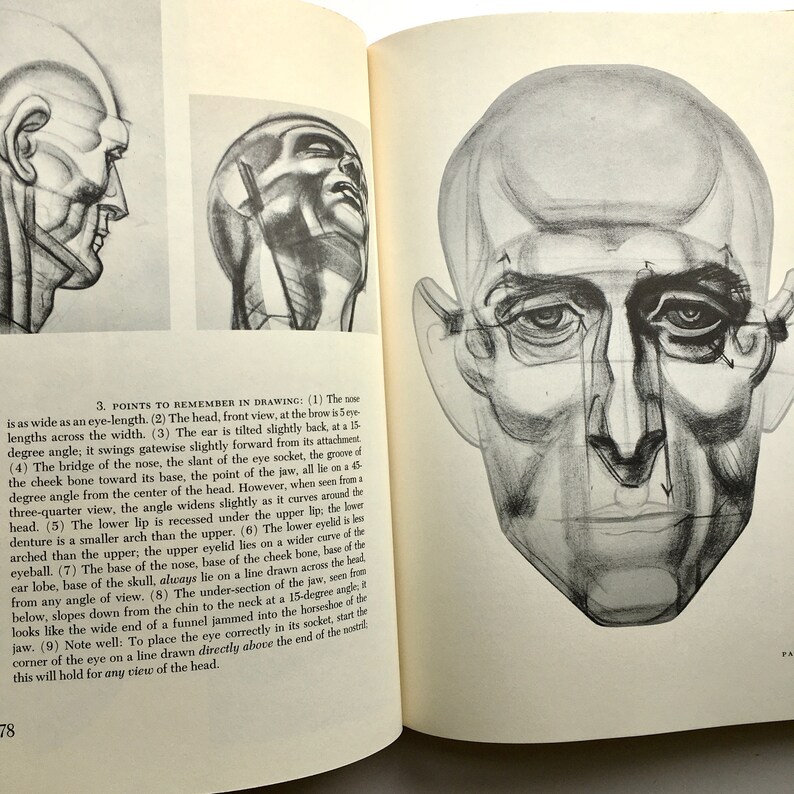 Dynamic Anatomy Burne Hogarth Etsy