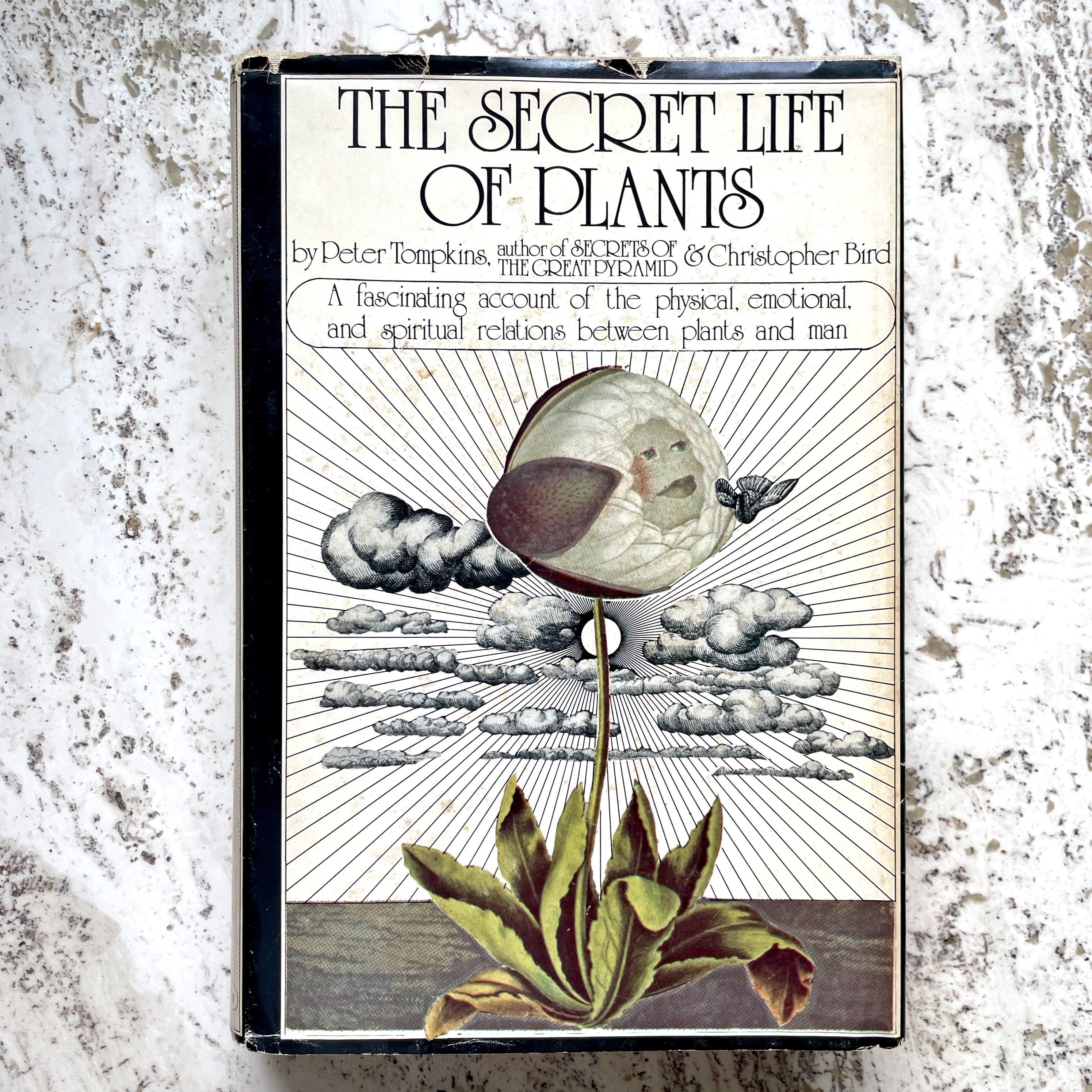 The Secret Life of Plants - by Peter Tompkins - Vintage Hardcover Book -  Etsy