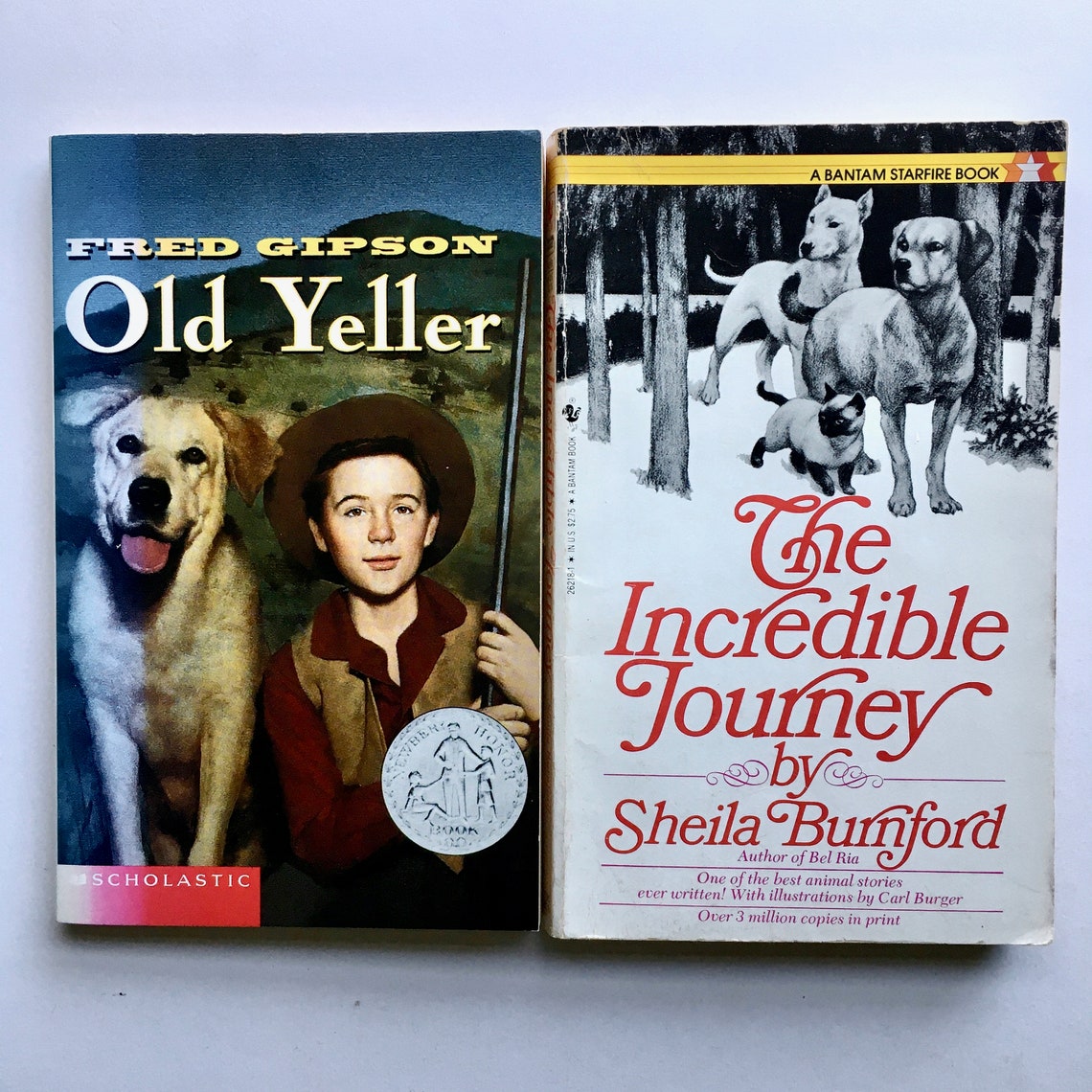 6 Classic Children's Books about Dogs Old Yeller Call Etsy
