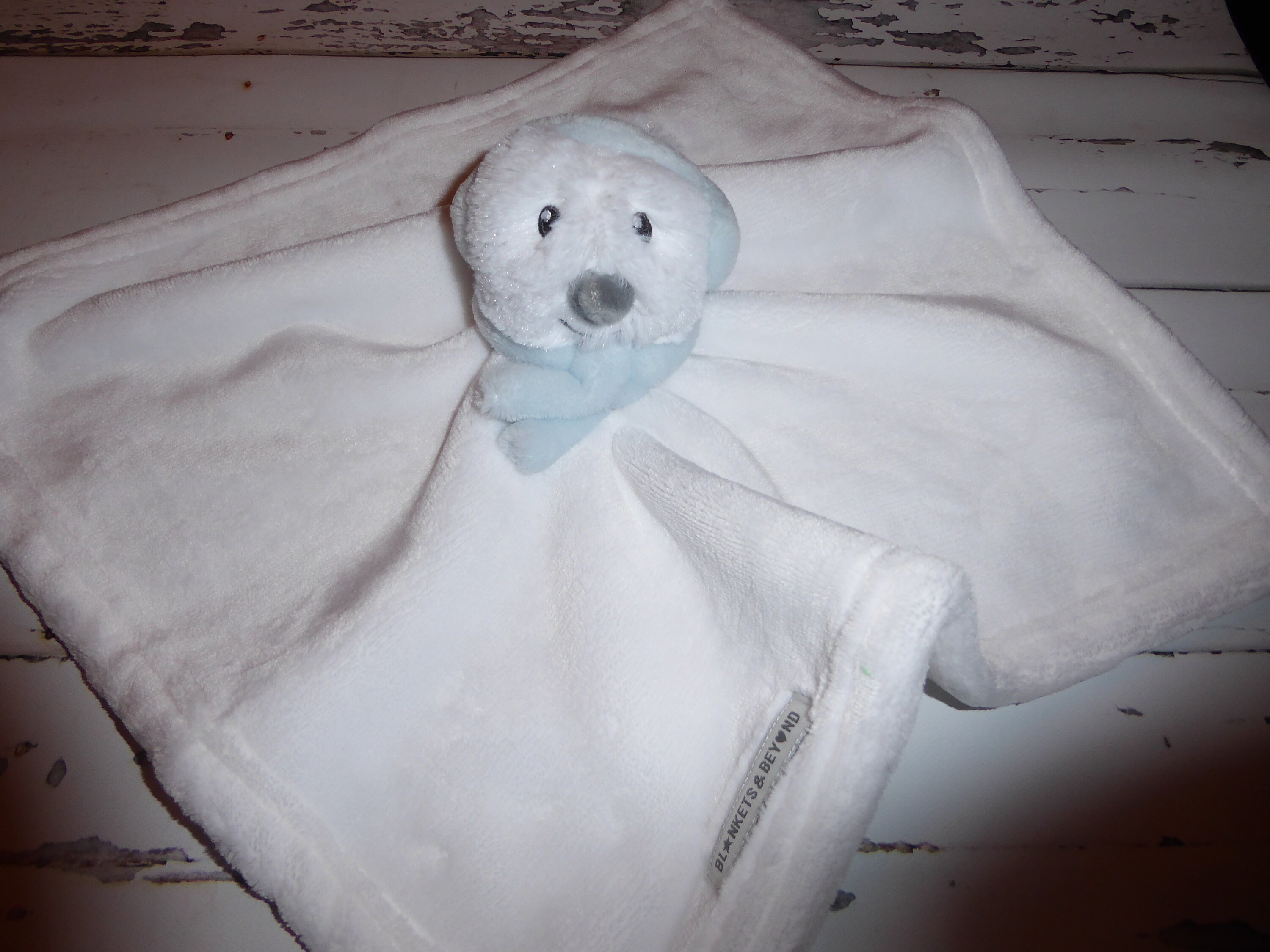 personalised comfort teddy