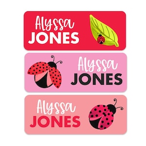 Ladybug Name Labels - Weatherproof Name Labels - Girls Name Labels - Girls School Labels - Personalized Name Labels - 30 Labels