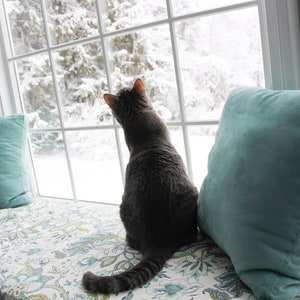 May include: A gray cat sits on a window seat with a floral patterned cushion, looking out at a snowy landscape through a window.
