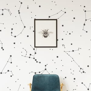 Adesivi murali con costellazioni - Adesivi murali con spazio, decorazioni murali con astronomia, adesivi murali con cielo notturno