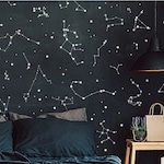 Constellation Stickers
