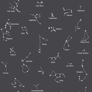 Puede incluir: Una ilustraci&oacute;n en blanco y negro de 29 constelaciones con sus nombres etiquetados. Las constelaciones se representan como estrellas blancas conectadas por l&iacute;neas sobre un fondo gris oscuro.