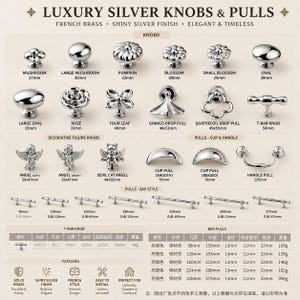 French Brass Cabinet Knobs, Silver Drawer Pulls, Luxury Kitchen Handles, Vintage Chic Furniture Hardware