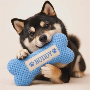 Könnte beinhalten: Ein schwarz-lohfarbener Shiba Inu Hund hält ein strukturiertes, blaues Spielzeug in Knochenform. Das Spielzeug hat in der Mitte einen beigen, rechteckigen Aufnäher mit dem blau gedruckten Namen BUDDY, flankiert von zwei kleinen blauen Pfotenabdrücken.