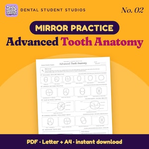 May include: A white educational worksheet titled Advanced Tooth Anatomy with sections for occlusal outline, groove pattern, and cusp control practice. The page features black line drawings of teeth on a yellow background with Dental Student Studios branding.