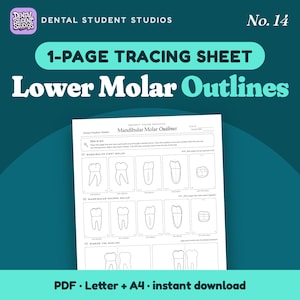 May include: A one-page dental tracing sheet titled Mandibular Molar Outlines by Dental Student Studios No. 14. The white paper features black line drawings of mandibular first and second molars from various angles for indirect vision practice.