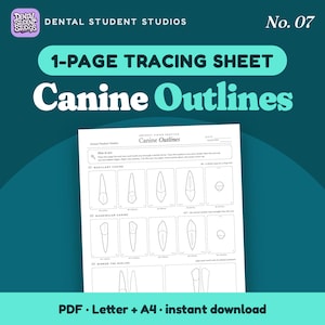 May include: A one-page dental tracing sheet titled Canine Outlines by Dental Student Studios. The white paper features black line drawings of maxillary and mandibular canine teeth from various angles, including instructions for indirect vision practice.