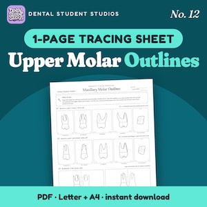 May include: A one-page dental tracing sheet titled Maxillary Molar Outlines by Dental Student Studios. The white paper features black line drawings of maxillary first and second molars from various angles, including instructions for indirect vision practice.
