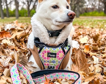 Correas para mascotas diseñadas por la etnia Hmong