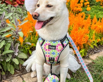 Hmong Designed Pet Harness